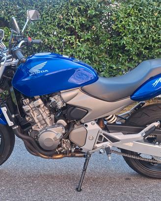 Hornet 600