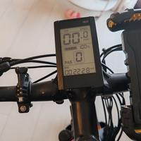 Bici elettrica