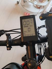 Bici elettrica
