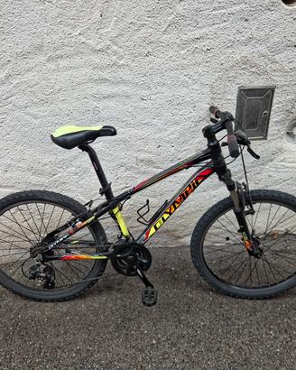 Olympia Cobra mountain bike