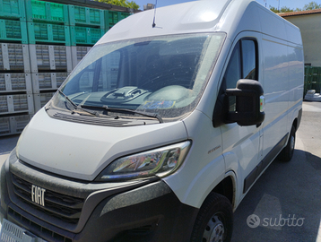 Fiat ducato 2019