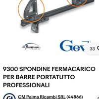 portapacchi auto
