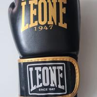 guantoni boxe
