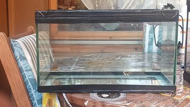 Acquario 15litri (38x18x22.5) prezzo trattabile