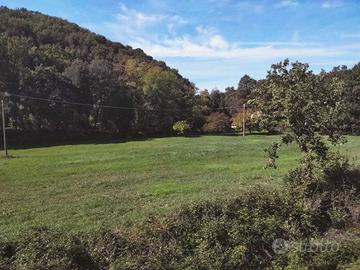 Prato a Amelia