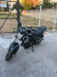 Benelli bn 302