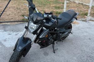 Benelli bn 302