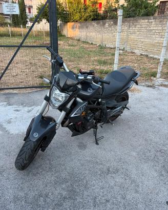 Benelli bn 302