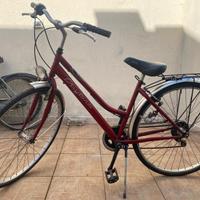 Bicicletta modello Daytona city type