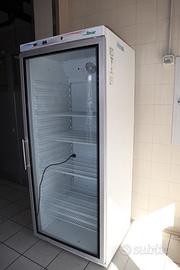 Vetrina espositiva refrigerata