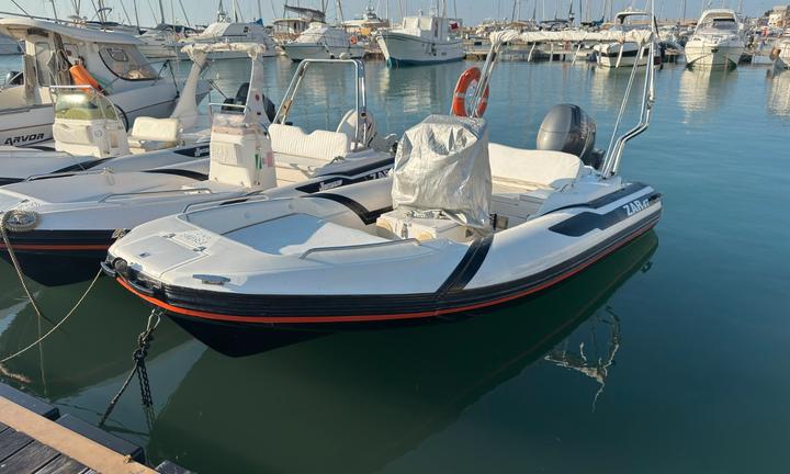 Zar 47 motore yamaha 100