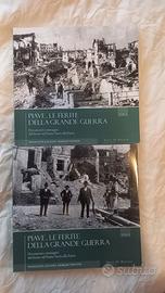 Piave. Le ferite della Grande Guerra. 2 volumi ill