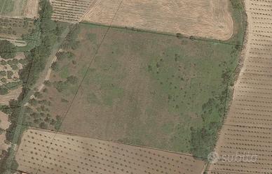 Terreno Agricolo a Ventaroli Carinola (CE)