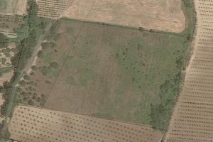 Terreno Agricolo a Ventaroli Carinola (CE)