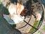Immagine 3