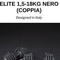 Manubri regolabili kingsgym