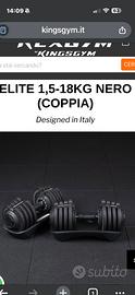 Manubri regolabili kingsgym
