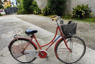Bicicletta da paseggio