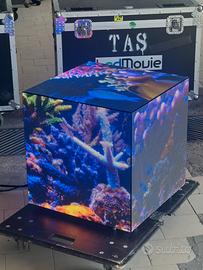 Led wall Absen Gloshine 3.9