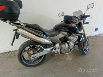 Hornet 600
