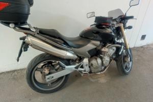 Hornet 600