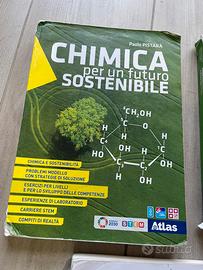 Chimica per un futuro sostenibile 9788826824710