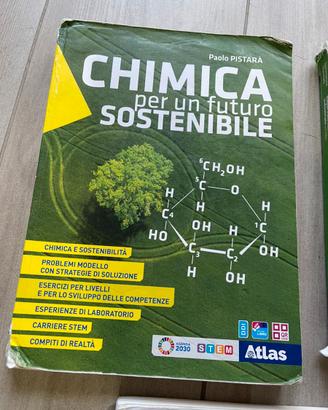 Chimica per un futuro sostenibile 9788826824710