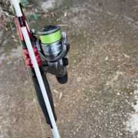 canna spinning