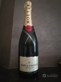 MOËT brut