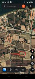 terreno con vigneto di Carignano 