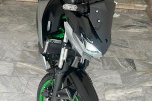 Kawasaki z500