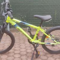 Mountain bike Verde fluo 