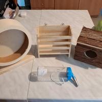 accessori essenziali roditori