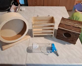 accessori essenziali roditori