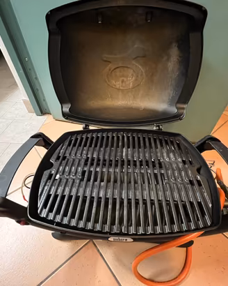 Barbecue a gas Weber Q1000