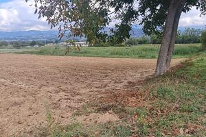 Terreno agricolo Civita di Bagno