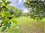 Immagine 11