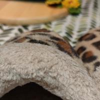 Pantofole Calde ,Simpatiche da donna antiscivolo 