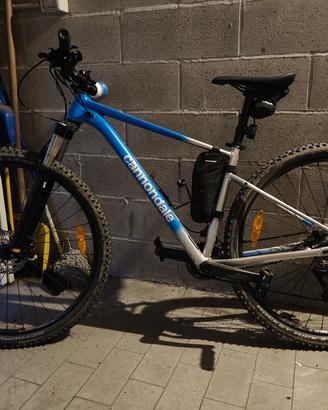 Cannondale Trail