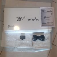 amplificatore monofonico 