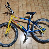 Bici Bicicletta MTB ragazza/ragazzo Gturis anni 20