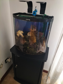 Acquario