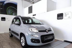 FIAT Panda 3ª serie - Panda 1.2 Lounge