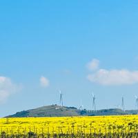 Terreno agricolo con ulivi