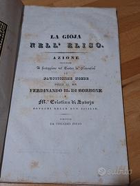 libro La Gioia dell'Eliso di Vincenzo Pinto