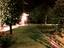 Immagine 10