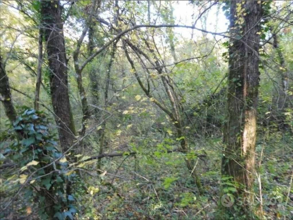 Immobile in asta di 147105 m² a Terranuova Braccio - Vista 2
