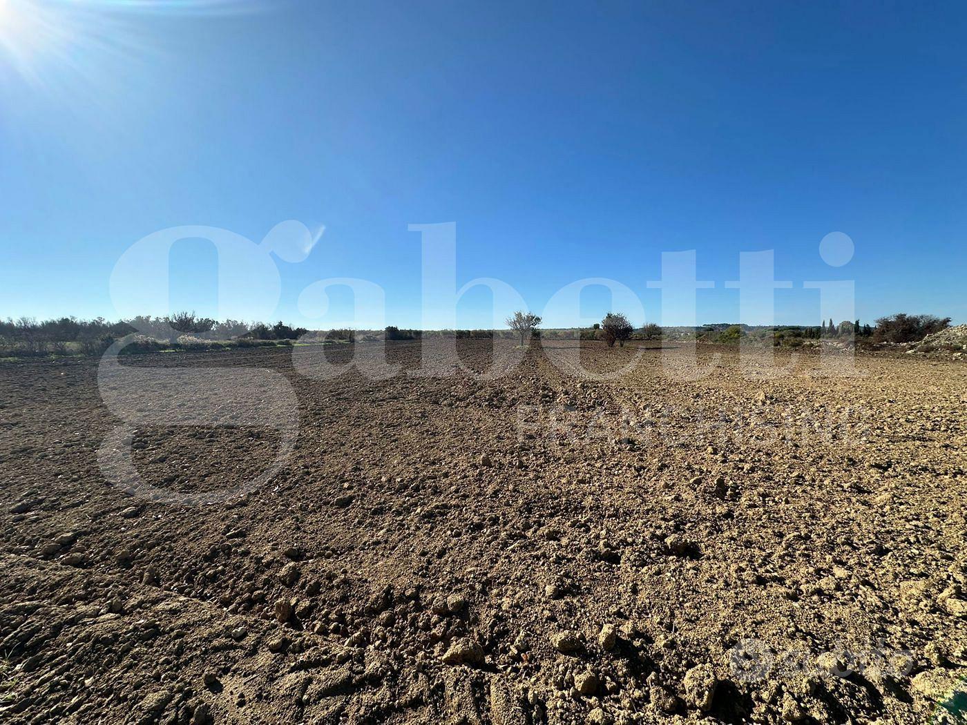 Terreno Agricolo Ugento [Cod. rif 3275972VCG] - Vista 5