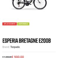 BICI ELETTRICA ESPERIA BRETAGNE E- BIKE 2000