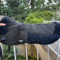 Agnellino sotto sella